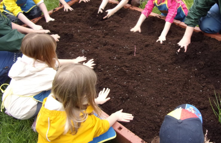 Kinderhände im Hochbeet