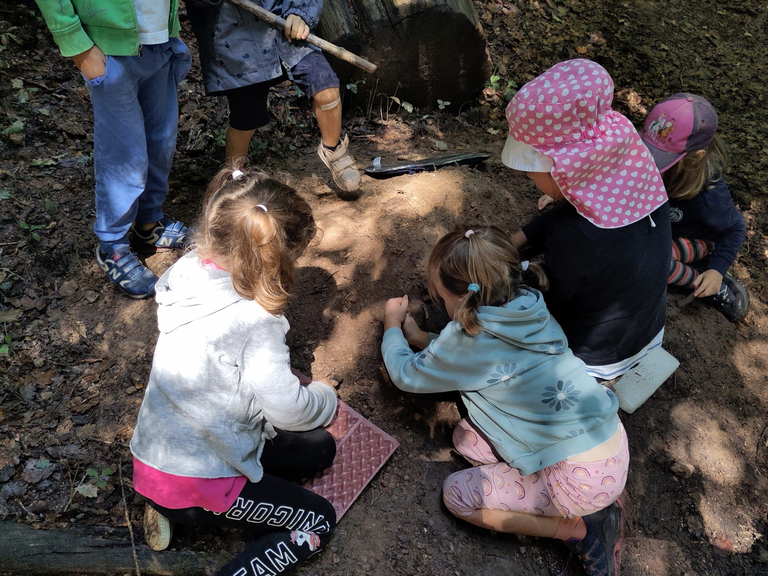 2025.08 Ferienprojekt Wald_1